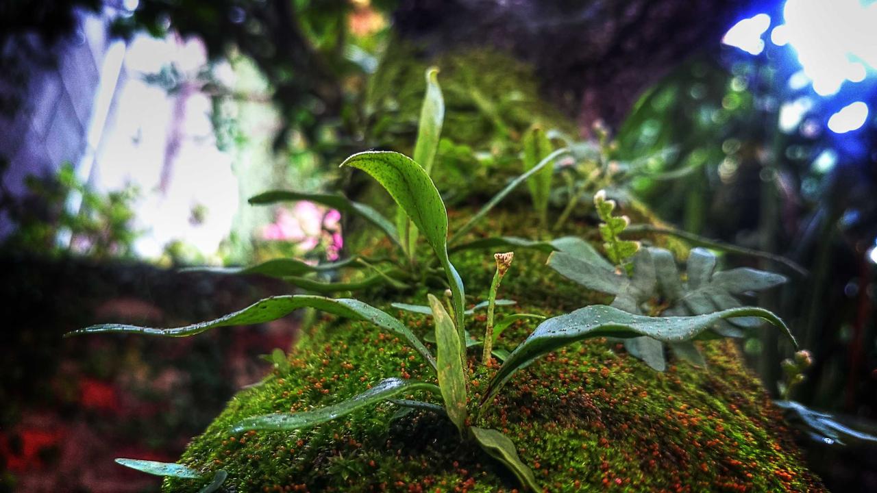 不動産投資の「金利」を1%下げる交渉術