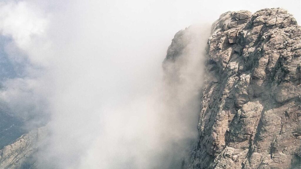 プロパティエージェントの物件での入居者満足度